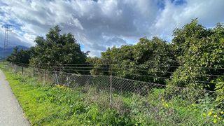 Terreno en venta en Pinos de Alhaurín - Periferia en Alhaurín de la Torre