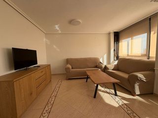 Piso en alquiler en Alcalde Felipe Mallol en San Vicente del Raspeig/Sant Vicent del Raspeig