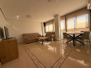 Piso en alquiler en Alcalde Felipe Mallol en San Vicente del Raspeig/Sant Vicent del Raspeig