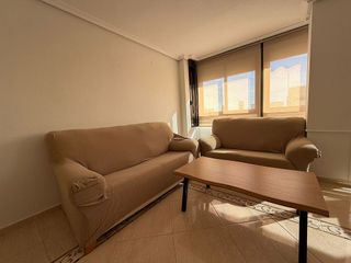 Piso en alquiler en Alcalde Felipe Mallol en San Vicente del Raspeig/Sant Vicent del Raspeig