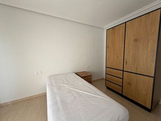 Piso en alquiler en Alcalde Felipe Mallol en San Vicente del Raspeig/Sant Vicent del Raspeig