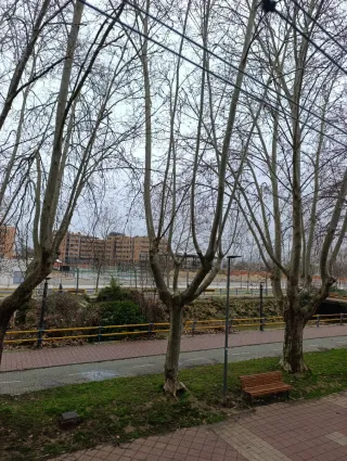 Se busca piso hospital clínico Valladolid