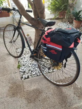 Bicicleta Orbea Street Híbrida