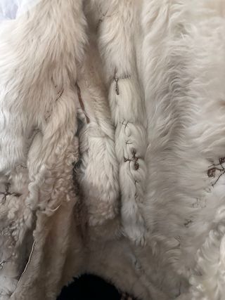 Montone in lana di pecora