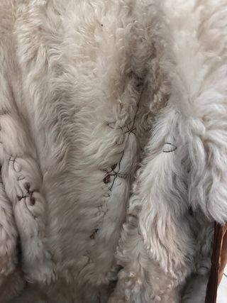 Montone in lana di pecora