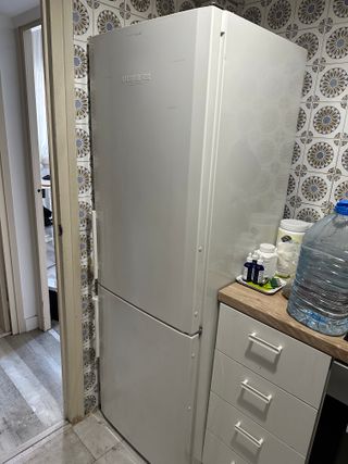 Nevera y Congelador Liebherr