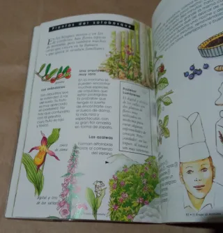 Guía del joven Robinsón en la montaña