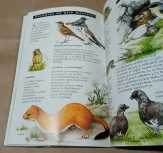 Guía del joven Robinsón en la montaña