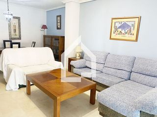 Piso en alquiler en Alcalde Felipe Mallol en San Vicente del Raspeig/Sant Vicent del Raspeig