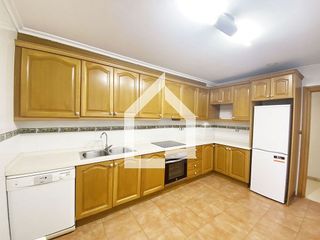 Piso en alquiler en Alcalde Felipe Mallol en San Vicente del Raspeig/Sant Vicent del Raspeig