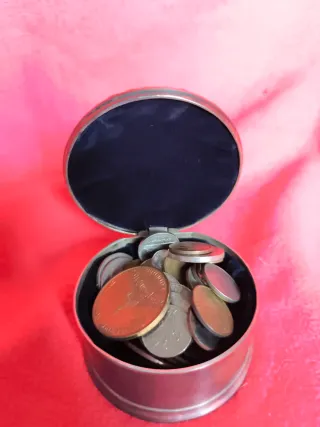 Caja Plateada con Monedas Varias