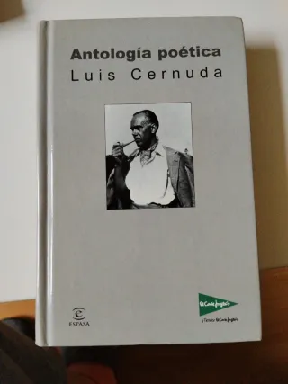 Lote de literatura contemporánea + regalo