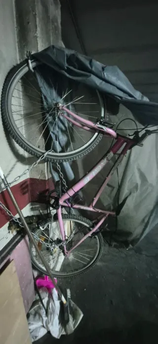 Bicicleta rosa niña