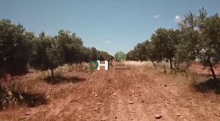 Terreno en venta en Norte en Mérida