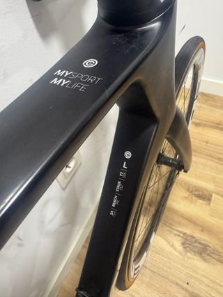 Ceepo Stinger Talla L Red AXS