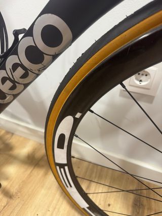 Ceepo Stinger Talla L Red AXS