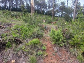 Solar en venta en Urbanitzacions en Bigues i Riells