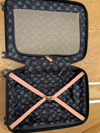 Maleta Samsonite Dumbo Disney cabina