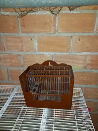 Jaula para jilgueros