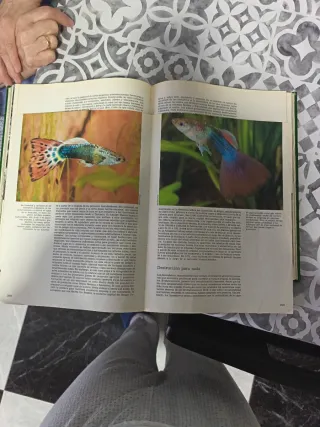 Libros Colección La Aventura De La Vida