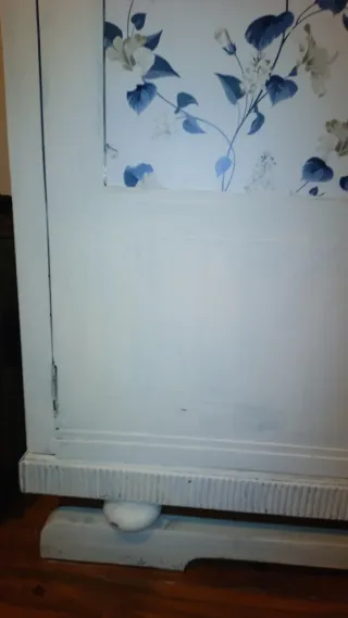 Armario restaurado con diseño floral