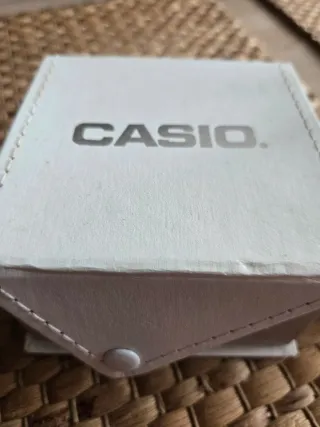 Reloj Casio Mujer Negro y Plateado