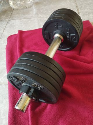 Mancuerna 10 kg