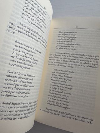 Libro: Errante En La Sombra: Novela Musical