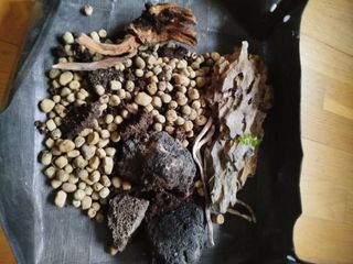 Terrario con luz LED