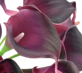 20 Flores Artificiales