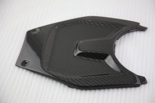 Tapa Carbono Batería BMW K1200S K1300S