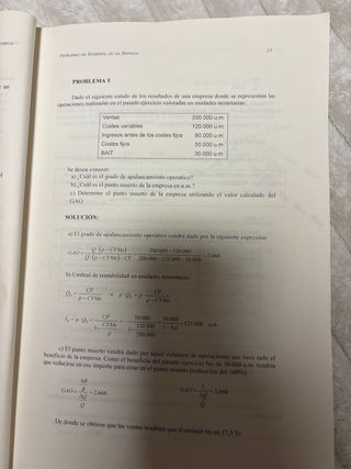 Problemas de economía de la empresa