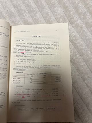 Problemas de economía de la empresa