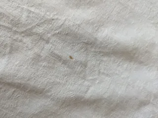 Tovaglia fiandra cotone bianco