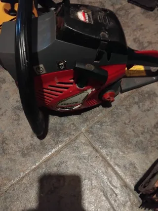 Motosierra Alpina y fanton