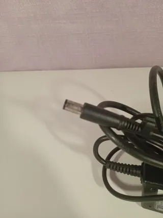 Cargador portátil HP PPP009H