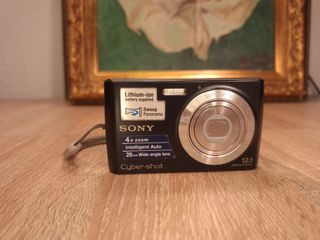 Sony Cyber-Shot DSC-W510 Cámara Digital 12.1 MP