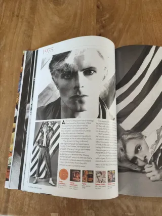 Bowie revista