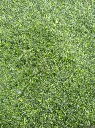 Césped artificial desde 3€/m2
