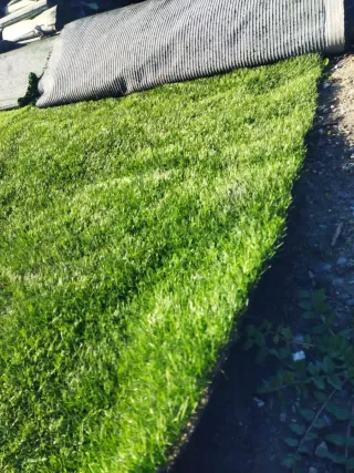 Césped artificial desde 3€/m2