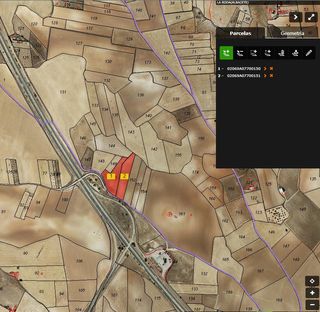 bancal secano Los Barniches LA RODA