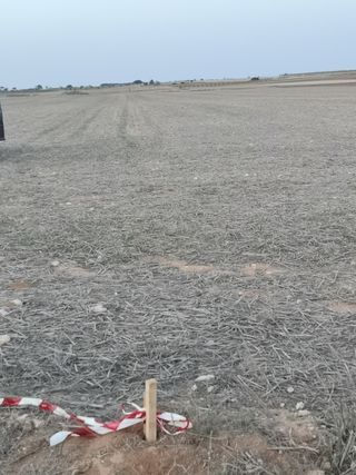 bancal secano Los Barniches LA RODA