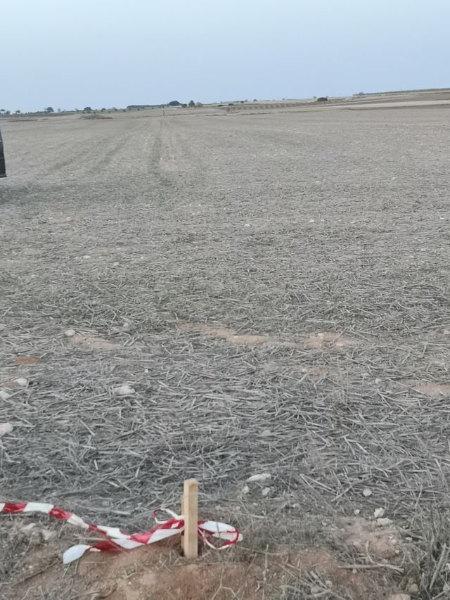 bancal secano Los Barniches LA RODA