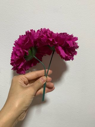 2 Claveles Flamenca Grandes Buganvilla