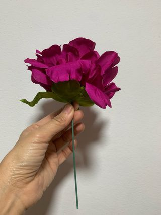 Flor Peonia L Flamenca Buganvilla