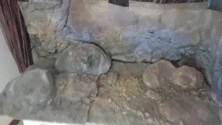 Fondo acuario Aquadecor 3D