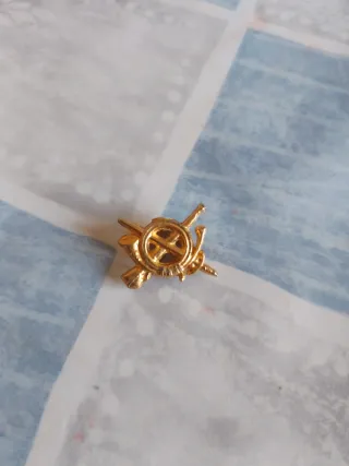 Lote Veterano Militaria Divisione Corazzata Brunete