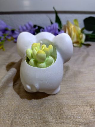 Vela cactus con molde de elefante artesanal