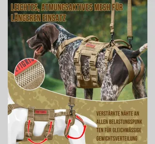 Arnés de apoyo para perros OneTigris