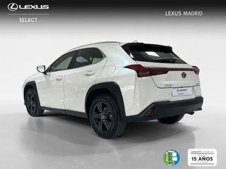 Lexus UX 2.0 300h UX Plus